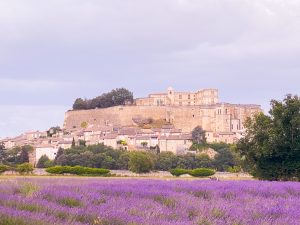Lire la suite à propos de l’article Le Clair de Plume****, escapade romantique et gourmande au cœur de la Drome Provençale 