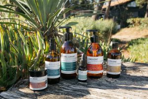 Lire la suite à propos de l’article Océopin, l’or végétal du Cap Ferret au service de la peau