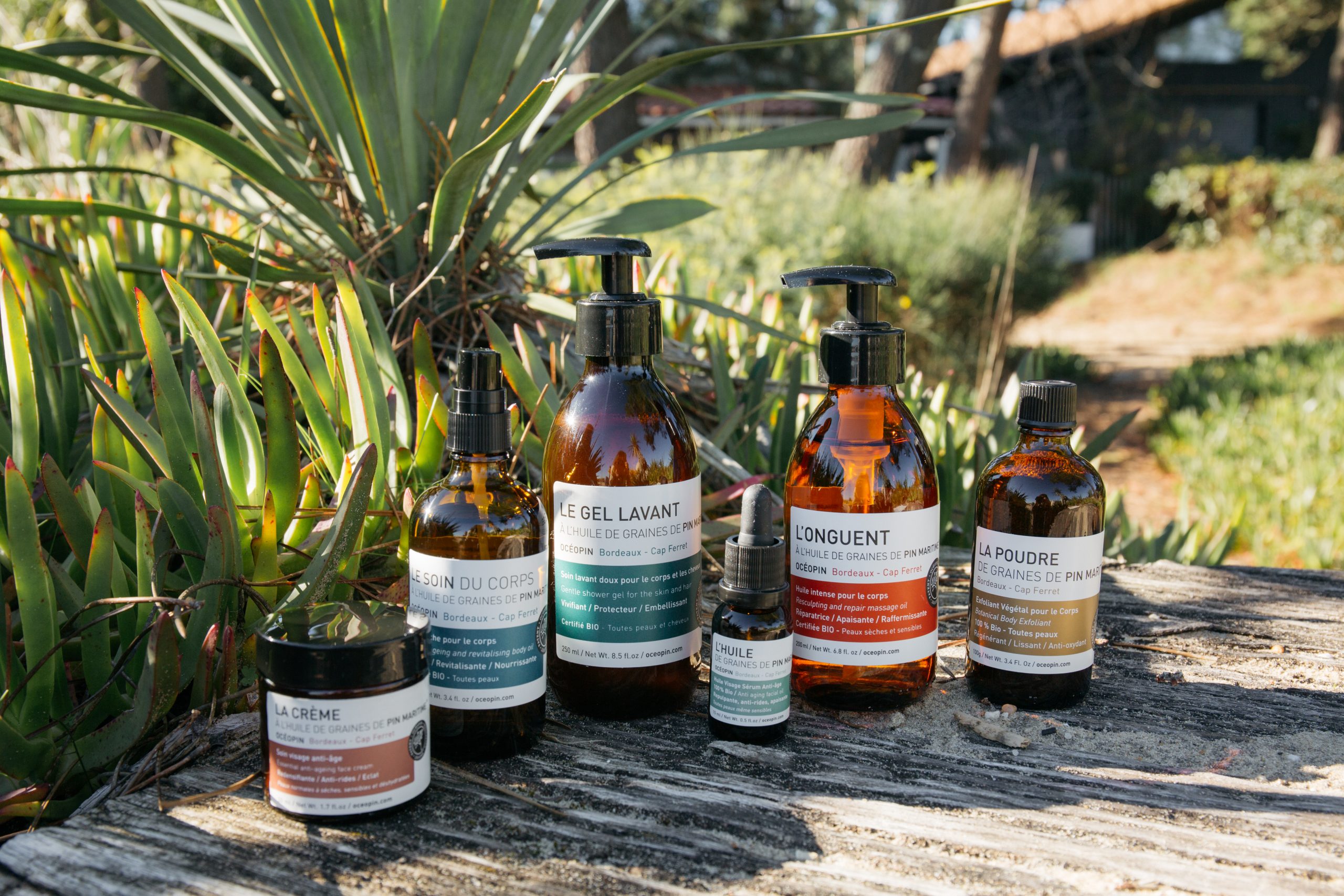 Lire la suite à propos de l’article Océopin, l’or végétal du Cap Ferret au service de la peau